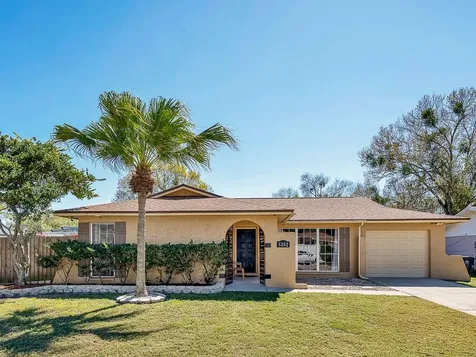 5202 Headland Hills Avenue Tampa FL 33625