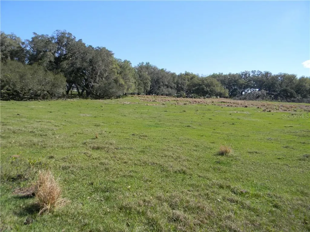 39730 Alston Avenue Zephyrhills FL 33542