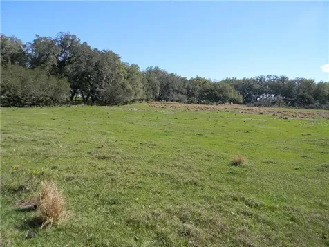 39730 Alston Avenue Zephyrhills FL 33542