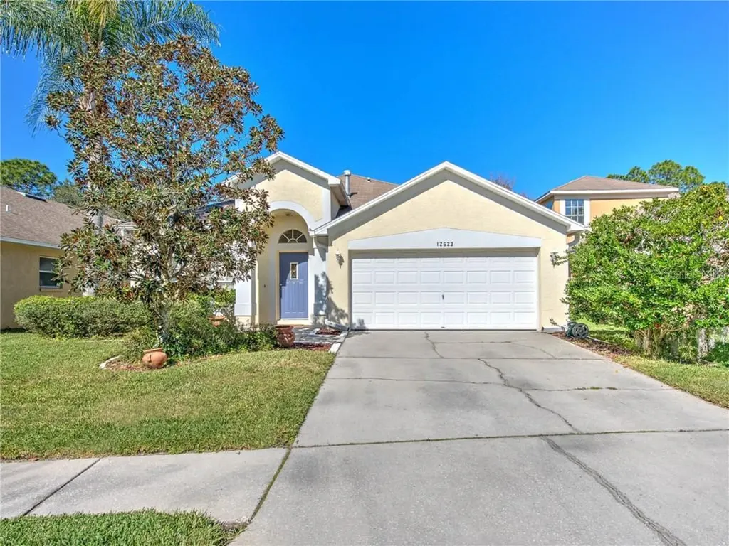 12523 Blazing Star Drive Tampa FL 33626