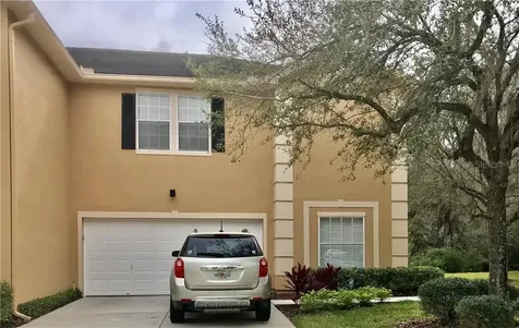 6239 Ashbury Palms Drive Tampa FL 33647
