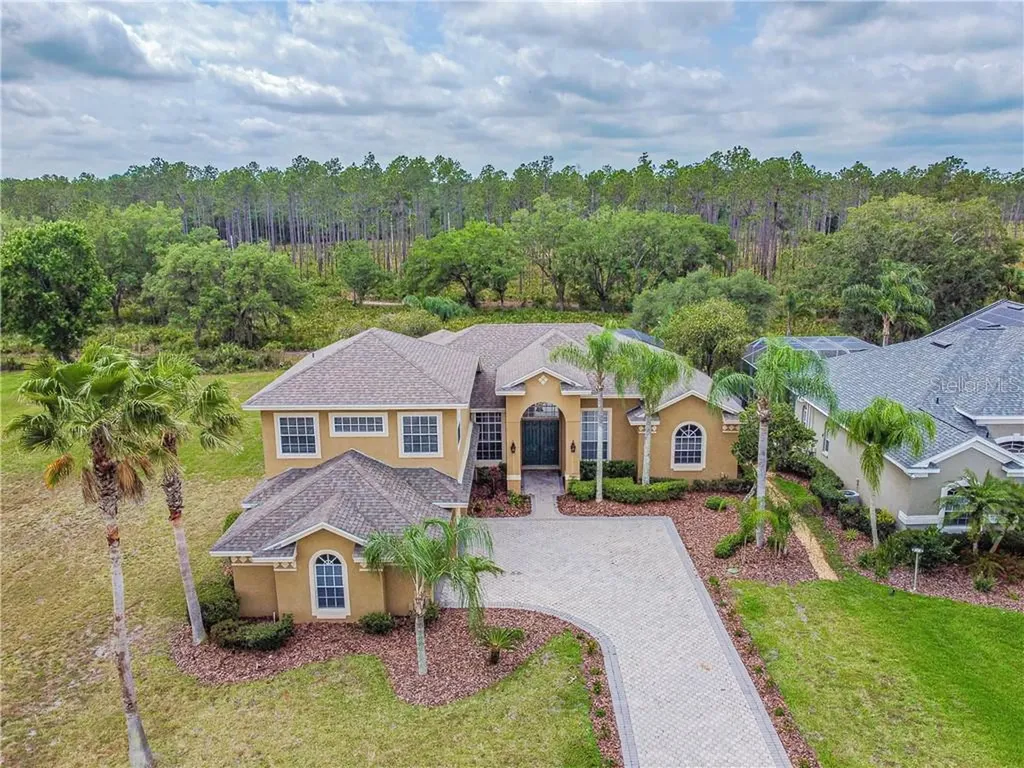 10532 Cory Lake Drive Tampa FL 33647
