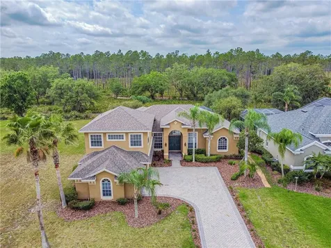 10532 Cory Lake Drive Tampa FL 33647