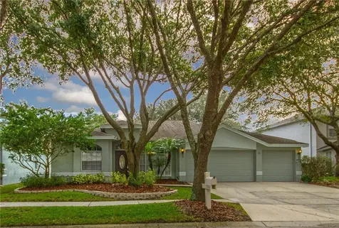 17703 Emerald Green Place Tampa FL 33647