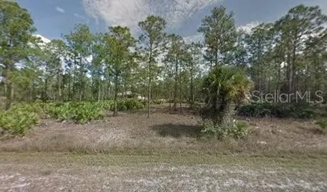 2204 Hamilton Avenue Alva FL 33920