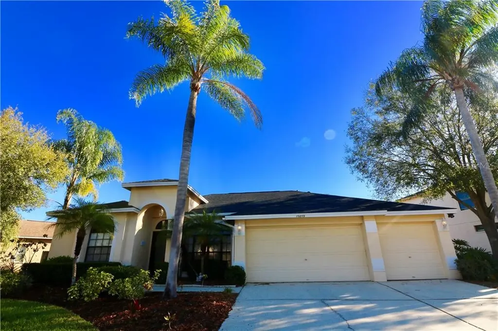 10215 Vista Pointe Drive Tampa FL 33635