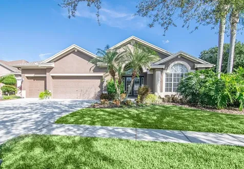 10736 Tavistock Drive Tampa FL 33626