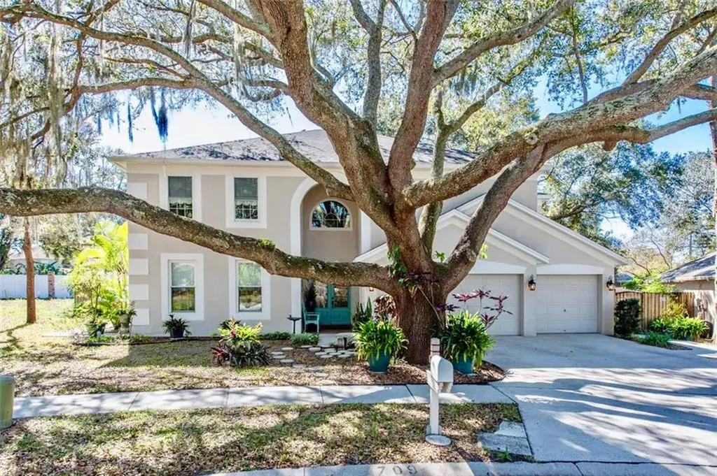 709 Grand Canyon Drive Valrico FL 33594