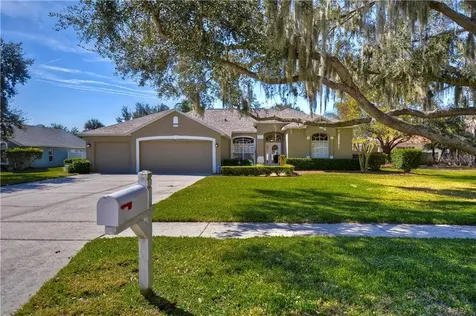 4011 Water Park Court Riverview FL 33578