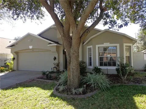 447 Country Vineyard Drive Valrico FL 33594