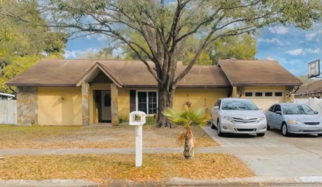 17646 Meadowbridge Drive Lutz FL 33549