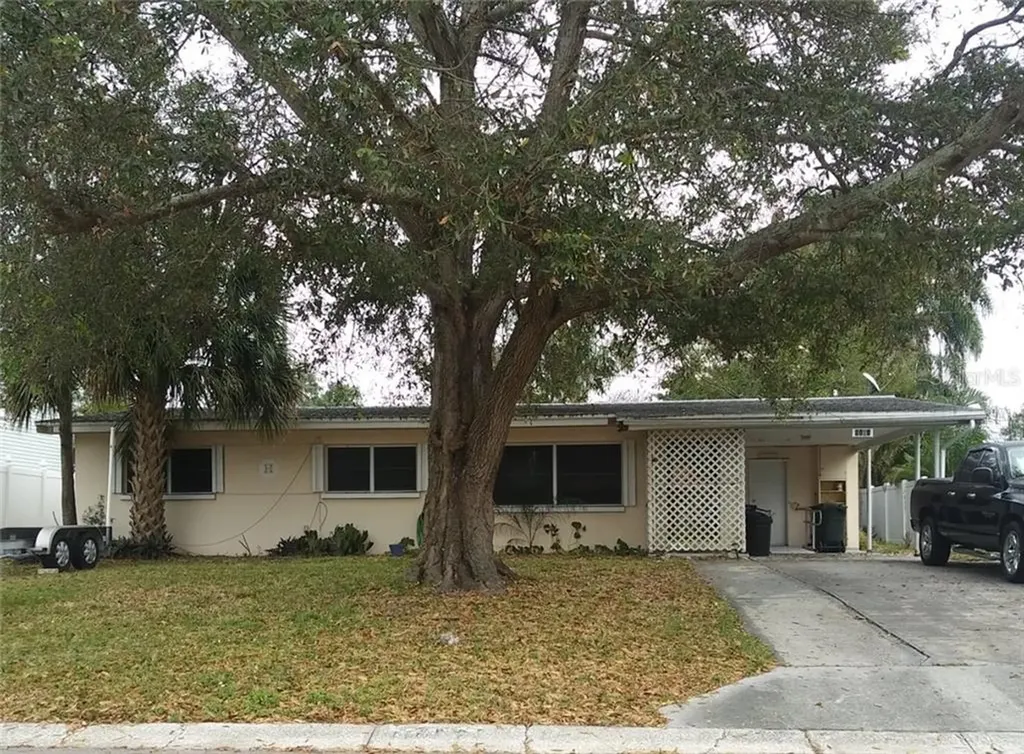 1101 Glenwood Drive Dunedin FL 34698
