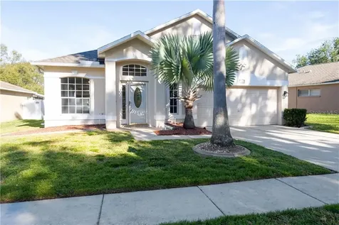 3333 Castle Rock Circle Land O Lakes FL 34639