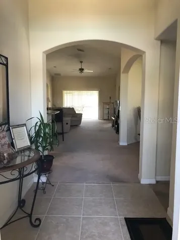 2427 Dakota Cliff Street Ruskin FL 33570
