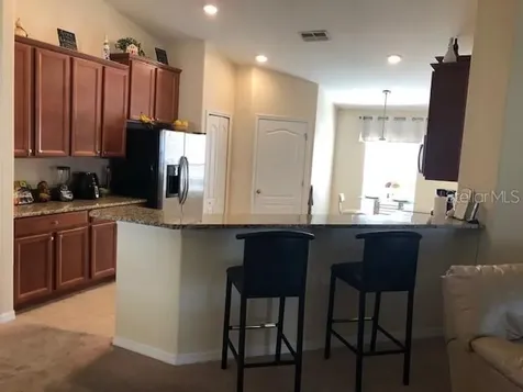 2427 Dakota Cliff Street Ruskin FL 33570