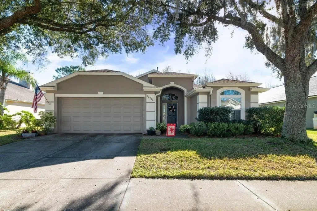 28927 Stormcloud Pass Wesley Chapel FL 33543