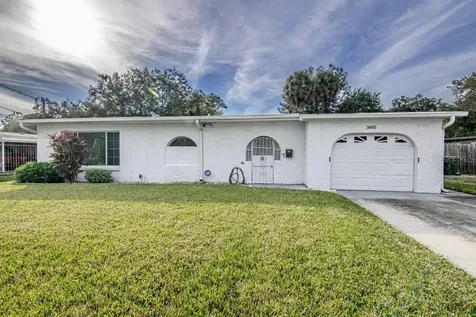 3805 River Grove Court Tampa FL 33610