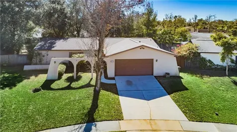 4228 Briarberry Lane Tampa FL 33624