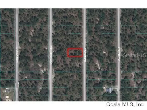 0 SW Alvarez Road Dunnellon FL 34431