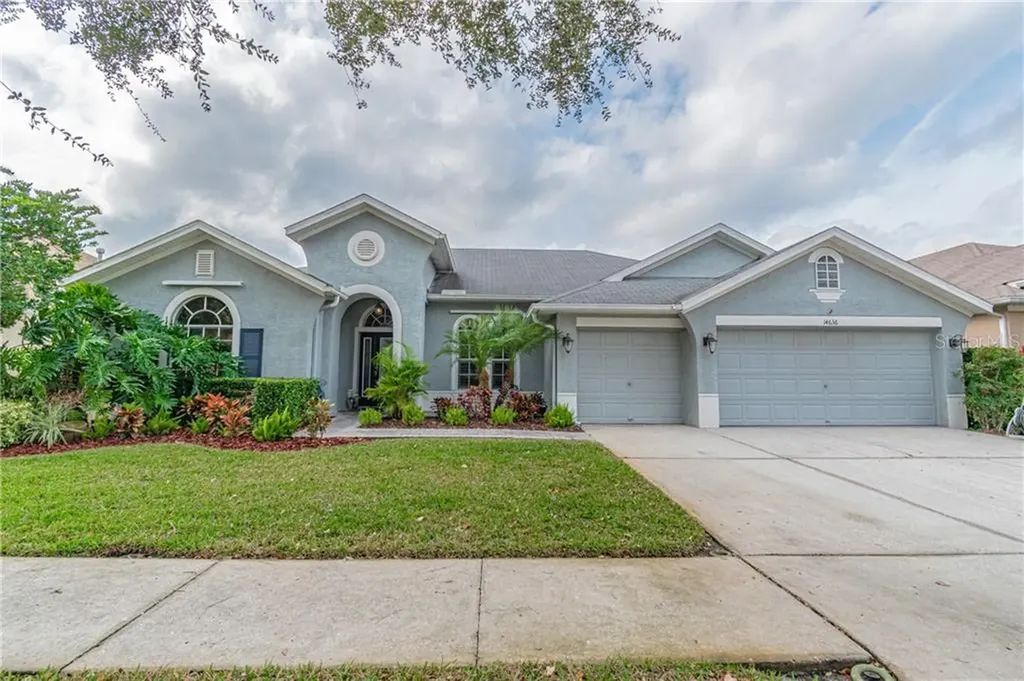 14636 Coral Berry Drive Tampa FL 33626