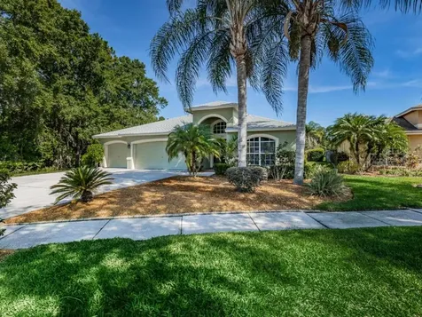 19816 Morden Blush Drive Lutz FL 33558