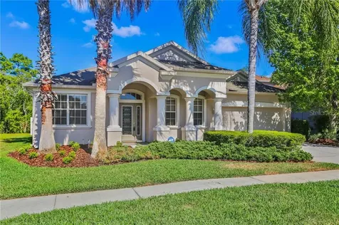 10738 Deerberry Drive Land O Lakes FL 34638