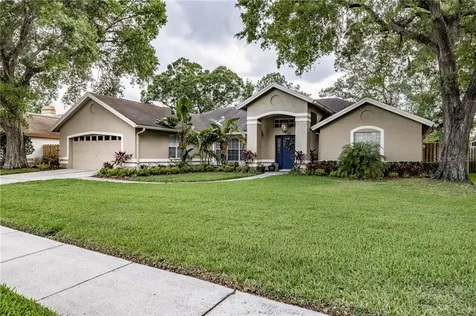 16702 Windsor Park Drive Lutz FL 33549