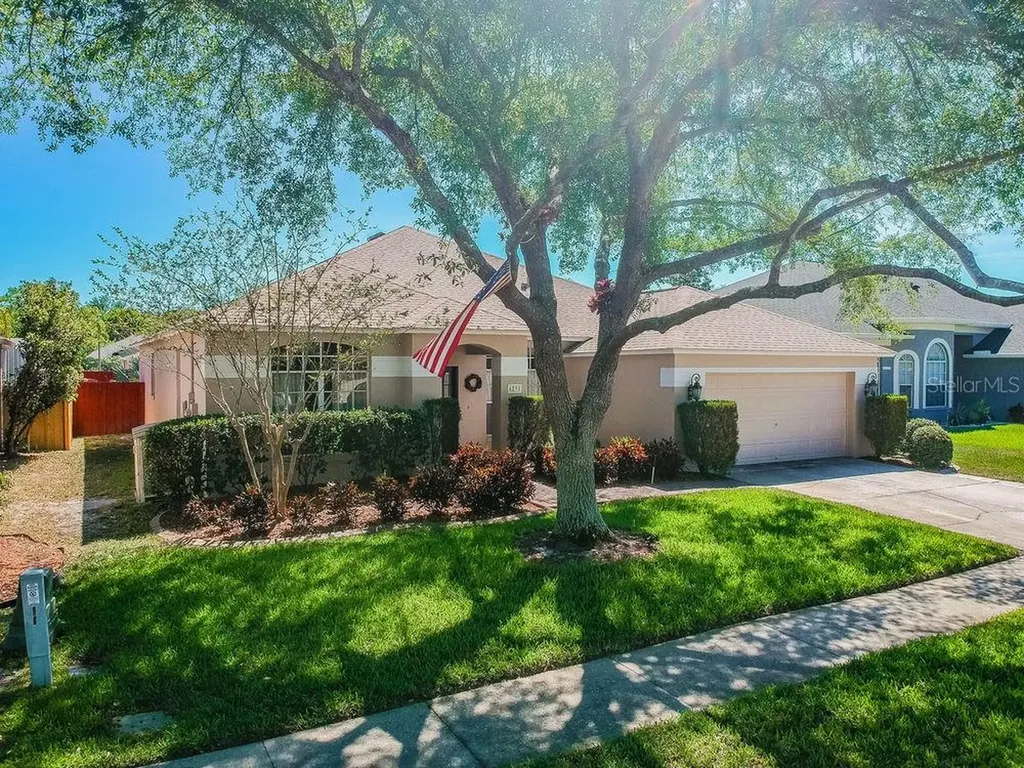 4238 Whittner Drive Land O Lakes FL 34639