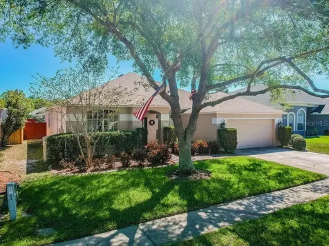 4238 Whittner Drive Land O Lakes FL 34639