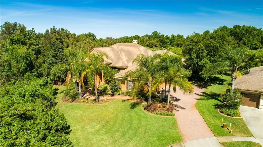 3130 Olivia Court Land O Lakes FL 34638