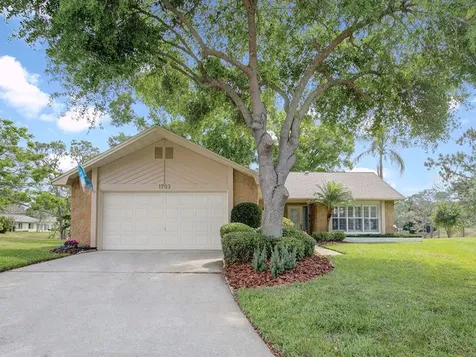 1703 Aberdeen Court Palm Harbor FL 34684