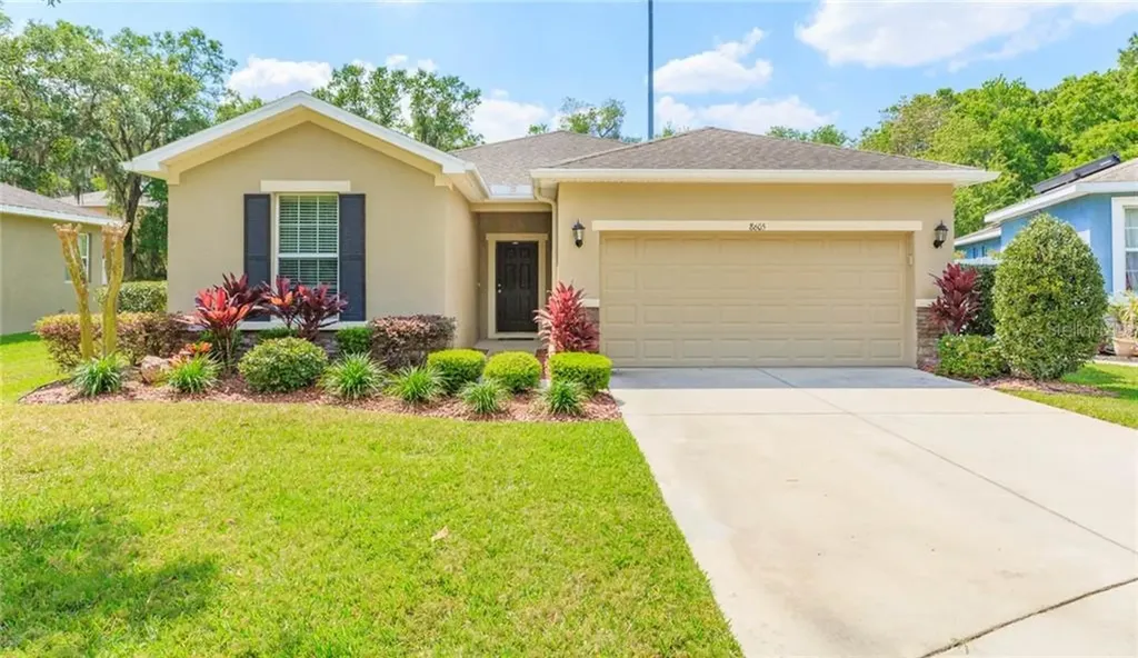 8605 Olive Moss Court Riverview FL 33569