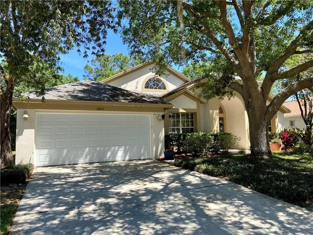 18017 Palm Breeze Drive Tampa FL 33647
