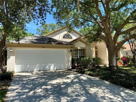 18017 Palm Breeze Drive Tampa FL 33647