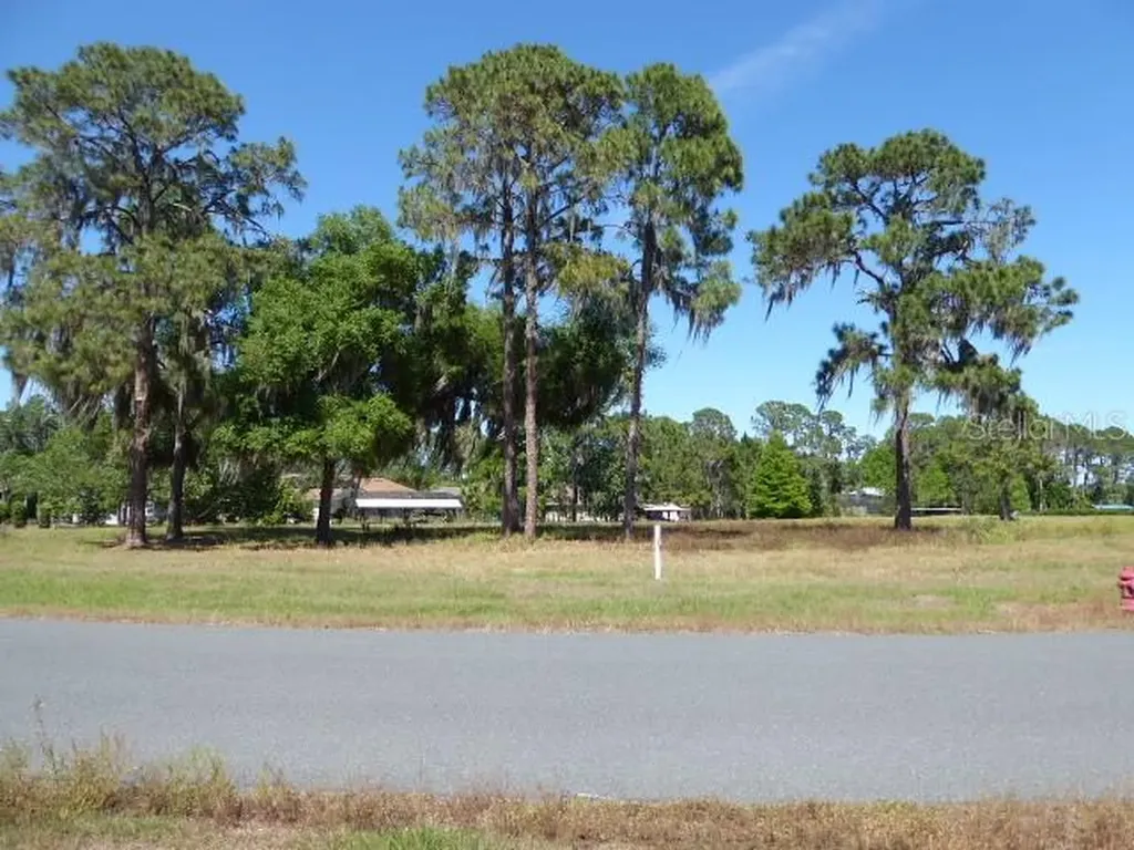 34966 Golden Tree Drive Leesburg FL 34788