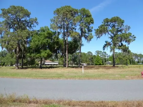 34966 Golden Tree Drive Leesburg FL 34788