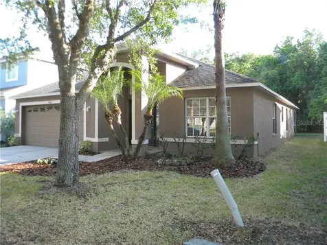 10436 Lucaya Drive Tampa FL 33647