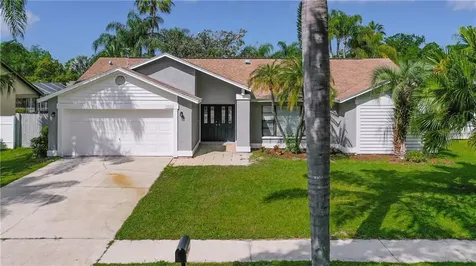 1031 Ridge View Lane Palm Harbor FL 34683