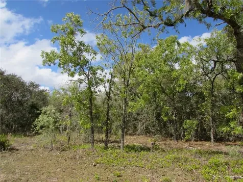 6194 W Jakarta Court Dunnellon FL 34433