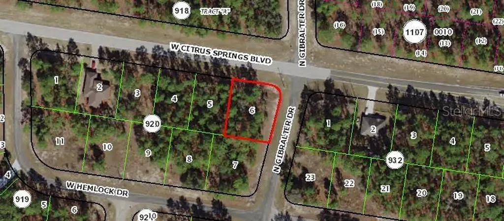 7348 N Gibralter Drive Citrus Springs FL 34434