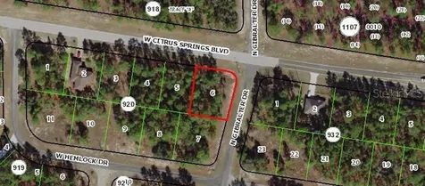 7348 N Gibralter Drive Citrus Springs FL 34434