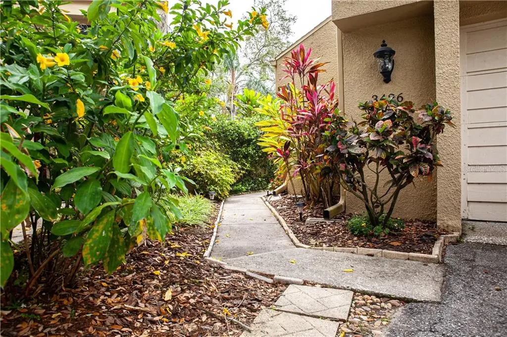 3426 Ellenwood Lane Tampa FL 33618