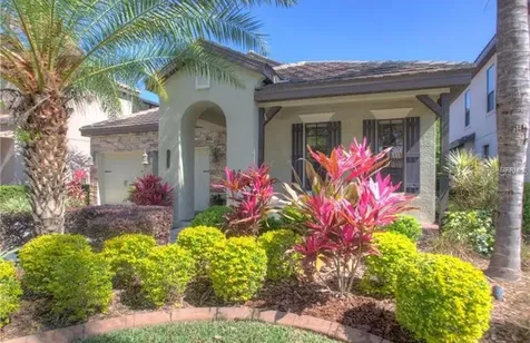 20306 Chestnut Grove Drive Tampa FL 33647