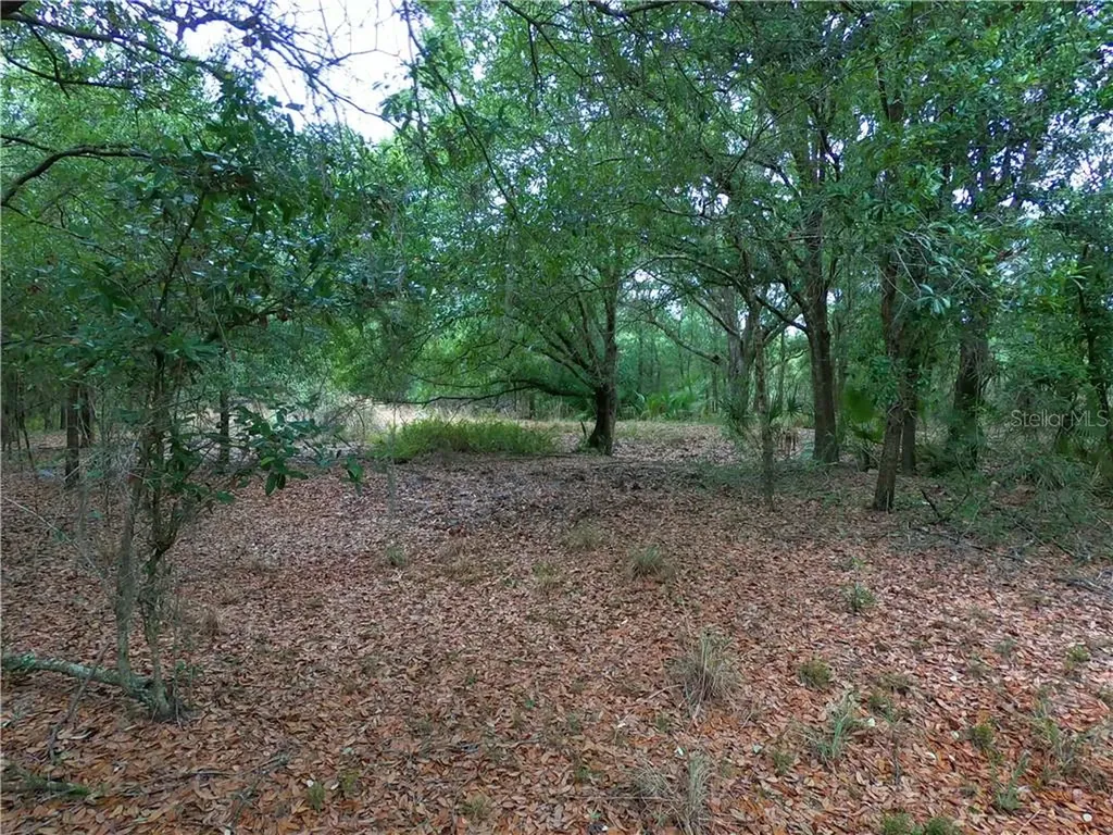 4982 261st Street E Myakka City FL 34251