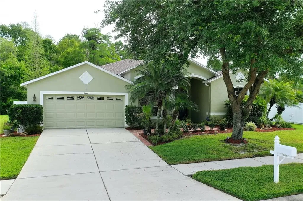 3646 Austin Range Drive Land O Lakes FL 34639