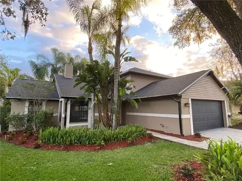 15121 Nighthawk Drive Tampa FL 33625