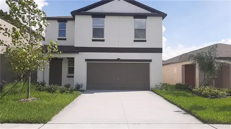 10229 Cool Waterlily Avenue Riverview FL 33578