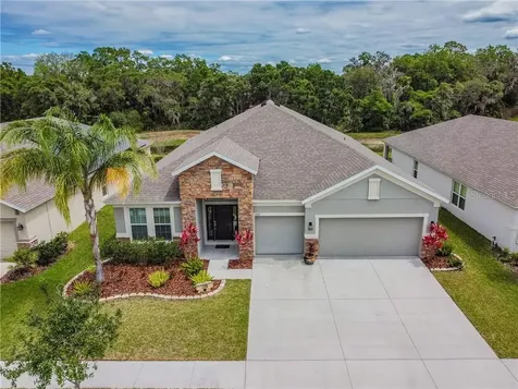 6332 Doe Path Court Wesley Chapel FL 33545