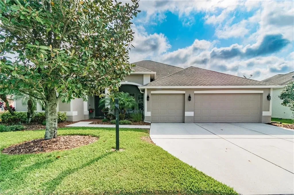 26801 Shoregrass Drive Wesley Chapel FL 33544