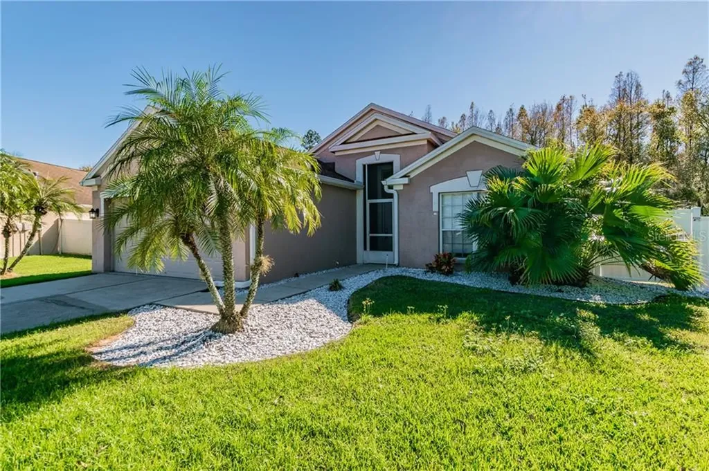 29000 Old Marsh End Wesley Chapel FL 33543